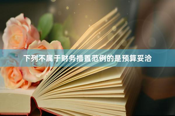 下列不属于财务措置范例的是预算妥洽