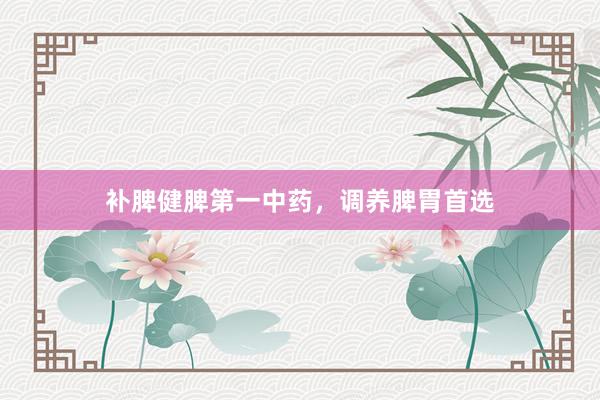 补脾健脾第一中药，调养脾胃首选